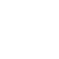 ALEPH